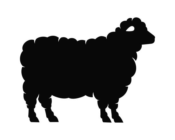 овца простая плоская иконка вектор - rural scene non urban scene domestic animals sheep stock illustrations