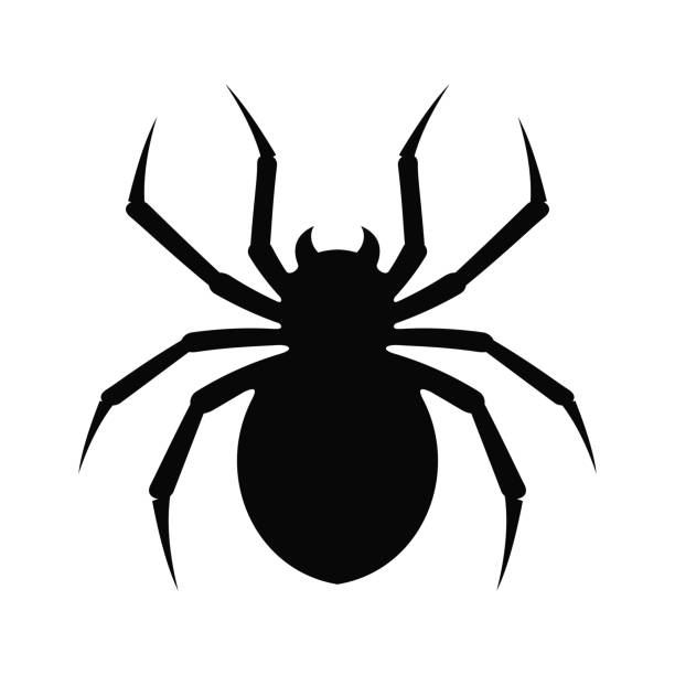 паук простой плоский вектор значка - silhouette spider tarantula backgrounds stock illustrations