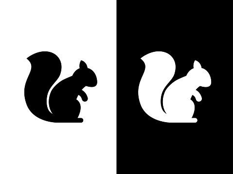 Art illustration design concpet icon black white logo isolated symbol of squirrel