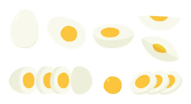 Vector illustration of Vector set of sliced hard boiled egg clipart. Simple whole, half, a quarter, cut sliced boiled egg flat vector illustration isolated. White boiled chicken egg with yellow yolk cartoon hand drawn style