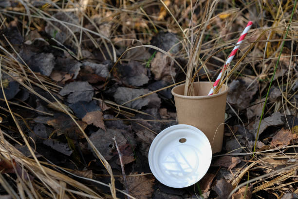 istock Biodegradable lid, cup, and drinking straw in a natural environment. 1452304874