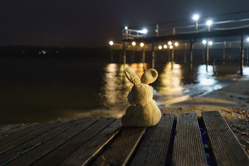 Sad beige bunny toy sits on the wooden bridge on the beach near the lake. He looks at the empty pier. He hung his ears sadly. Summer is gone. It's upset him. Back view.
