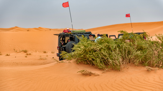 Three cars parked behind bushes in between the dunes in the Nafud desert of Saudi Arabia