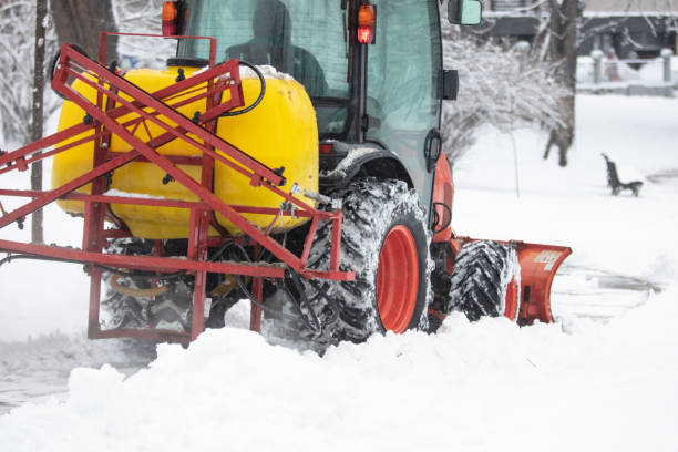 istock Tractor cleaning urban park paths on a cold snowy day. 1452313933