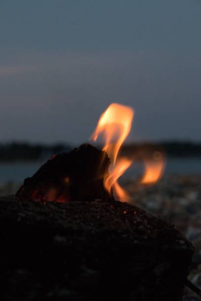 istock Vertical closeup shot of a campfire at the beach. 1452315853
