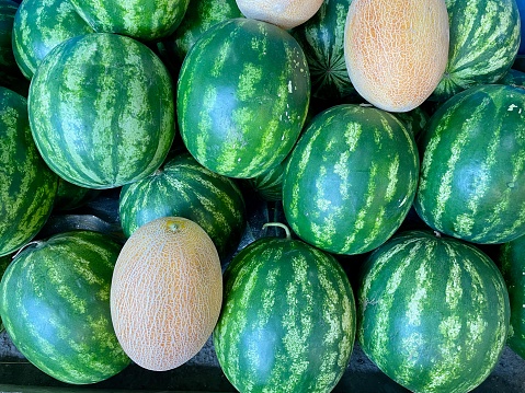 Close up of watermelons and cantaloupe on sale at local farmers market.