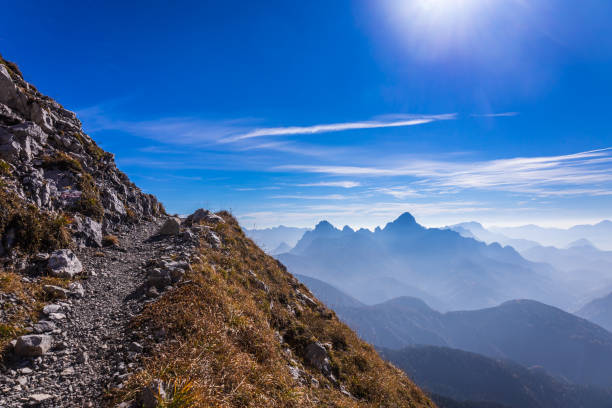 istock Autumn colors are exploding in the woods of Carnic Alps 1452320196