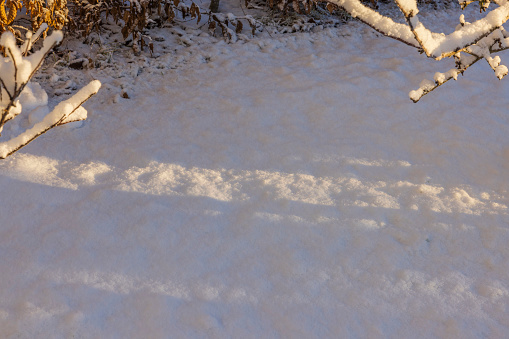 Beautiful view of shadows from rays of sun on white snow in garden on frosty winter day. Sweden.