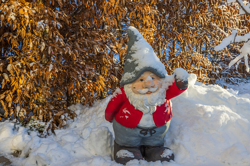 Close up view of cute figure of gnome standing in snow covered garden on frosty winter day. Sweden.