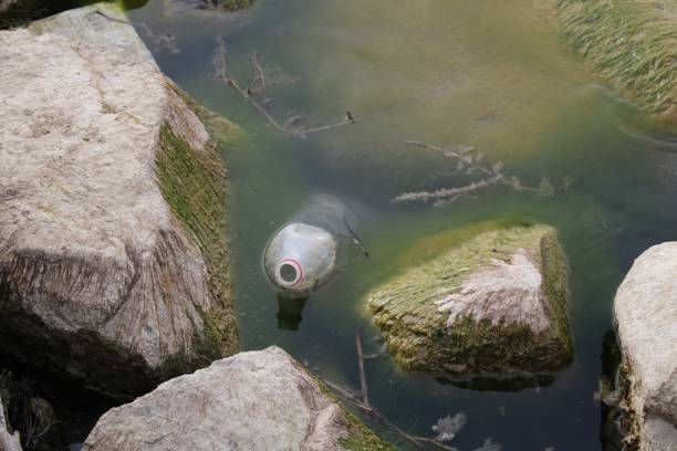 istock plastic bottle thrown into the sea. sea ​​and nature pollution 1452326789