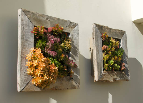 istock Vertical garden hanging inside the patio 1452326874