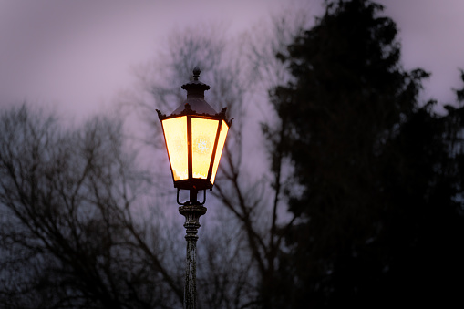 Portable flashlight standing on land of forest. Copy space.