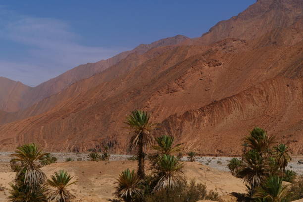 istock Road between Ighrem and Tata, Morocco : landscape 1452327786