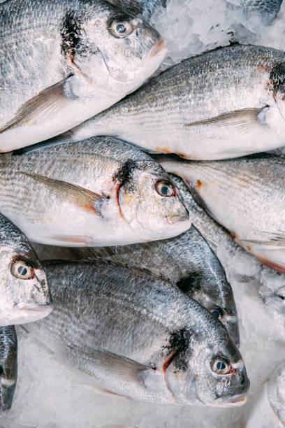 istock Sea Bream in the Fish Market 1452329988