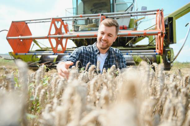 istock Farmer Standing In Wheat Field At Harvest 1452332858