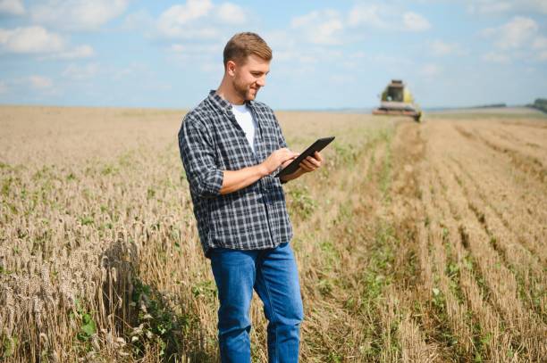 istock Farmer Standing In Wheat Field At Harvest 1452332993