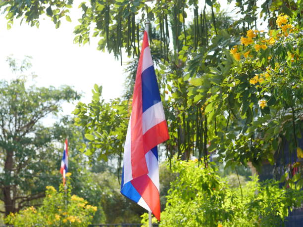 istock flags, America, usa, white, patriotic, Thai flag 1452336138