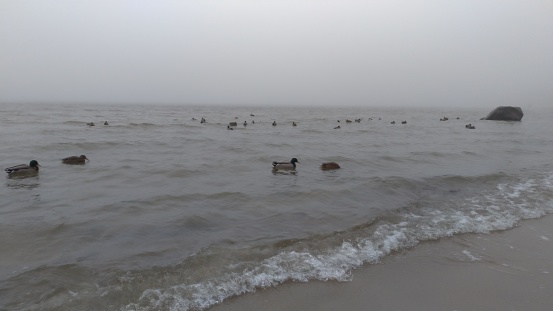 Cold and foggy season on Baltic sea, coast of Sellin, Germany