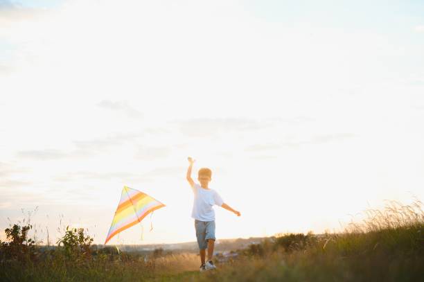 istock Boy is running with a kite during the day in the field 1452341414