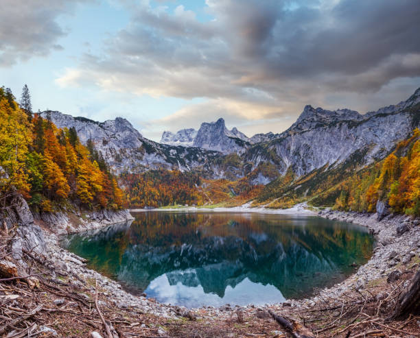 istock Tree stumps after deforestation near Hinterer Gosausee lake, Upper Austria. Autumn Alps mountain lake with clear transparent water and reflections. Dachstein summit and glacier in far. 1452341484