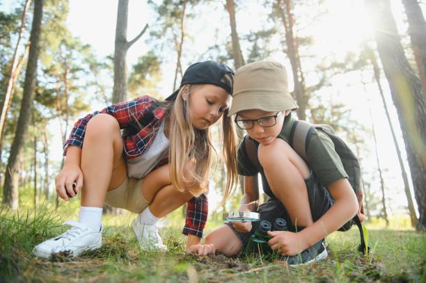 istock Two happy children having fun during forest hike on beautiful day in pine forest. Cute boy scout with binoculars during hiking in summer forest. Concepts of adventure, scouting and hiking tourism 1452341917
