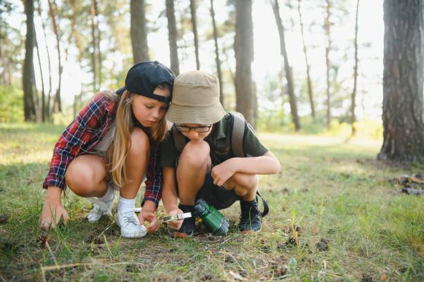 istock kids scouts in the forest. 1452341940