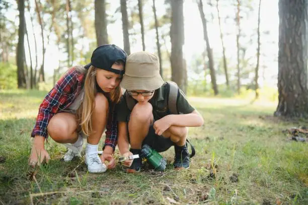 Photo of kids scouts in the forest.