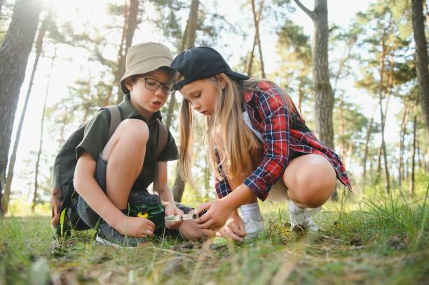 istock Kids exploring nature with magnifying glass. Summer activity for inquisitive child. 1452341948