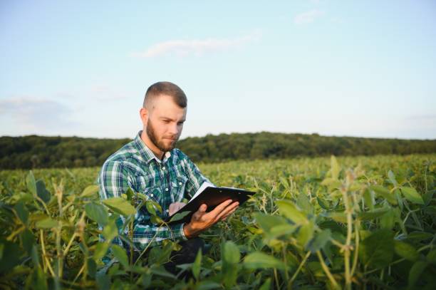 istock Young agronomist holds tablet touch pad computer in the soy field and examining crops before harvesting. Agribusiness concept. agricultural engineer standing in a soy field with a tablet in summer. 1452344218