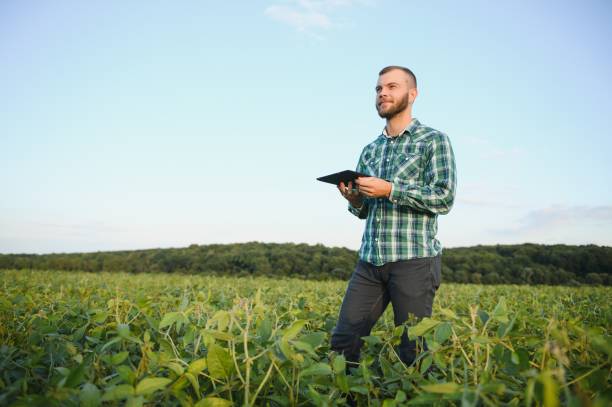 istock Young agronomist holds tablet touch pad computer in the soy field and examining crops before harvesting. Agribusiness concept. agricultural engineer standing in a soy field with a tablet in summer. 1452344298