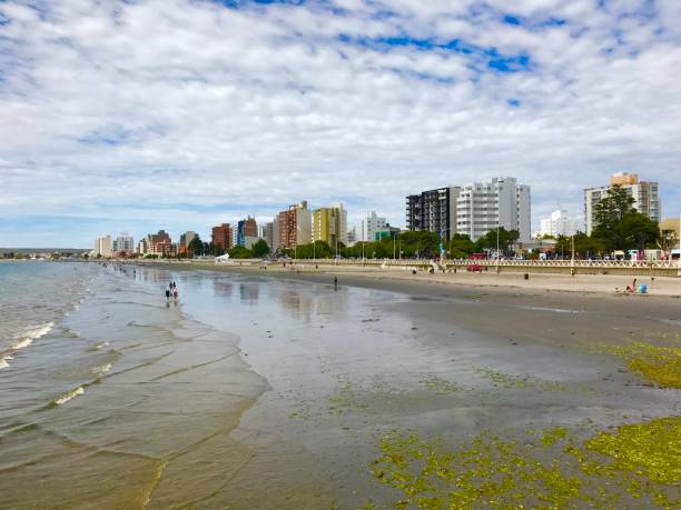 istock Puerto Madryn, Argentina 1452346137