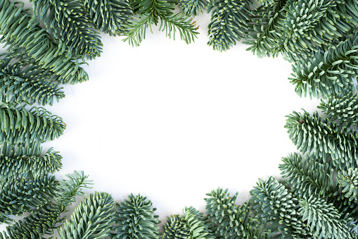 Christmas frame with fir branches