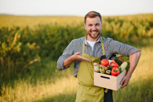 istock farmer holding box with organic vegetables 1452348739