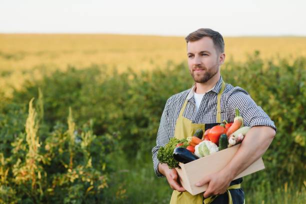istock farmer holding box with organic vegetables 1452348747
