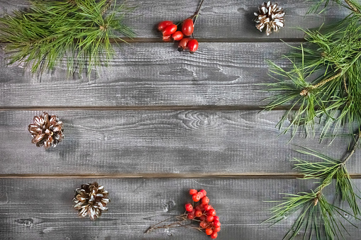 Christmas card. Fir branches, red berries and cones on a wooden background. Copy space