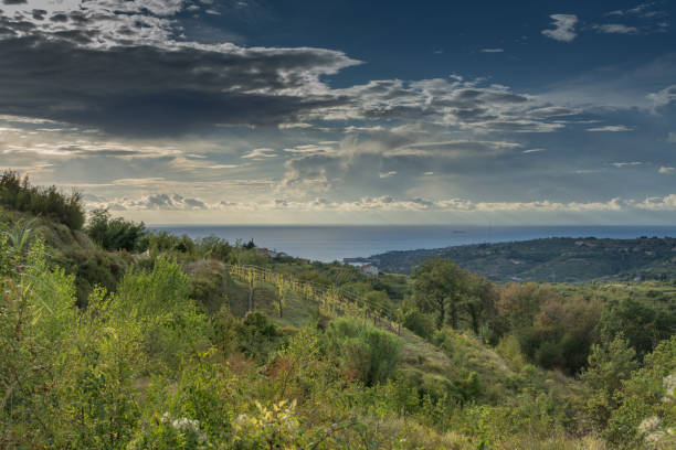 istock Beautiful nature hills above Izola 1452350361