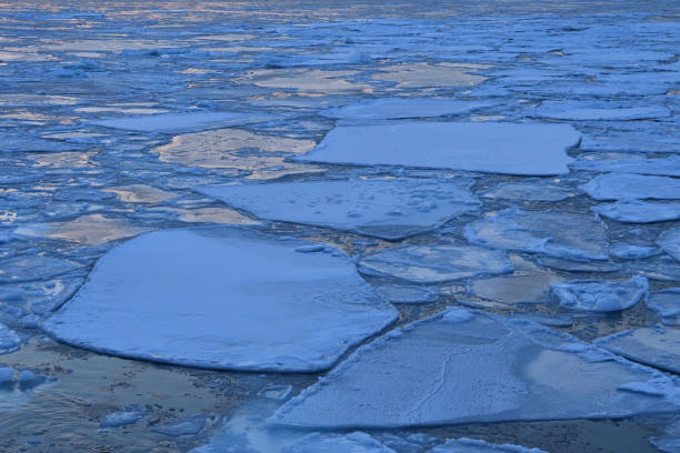 istock Sunset cruising on Floating ices 1452350497
