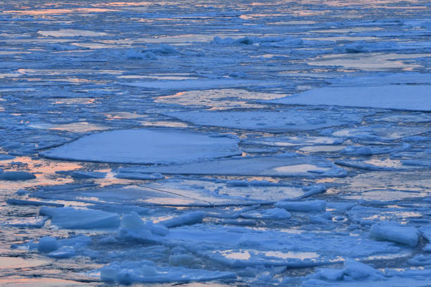 istock Sunset cruising on Floating ices 1452350504