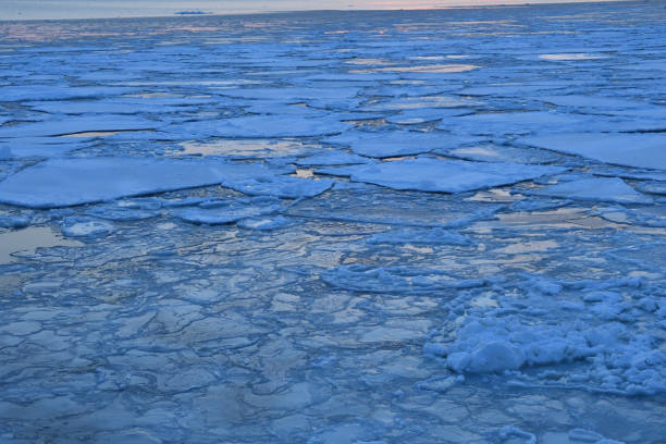 istock Sunset cruising on Floating ices 1452350516