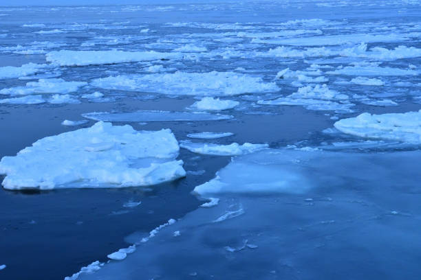 istock Sunset cruising on Floating ices 1452350536
