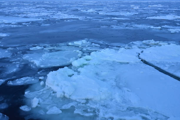 istock Sunset cruising on Floating ices 1452350550