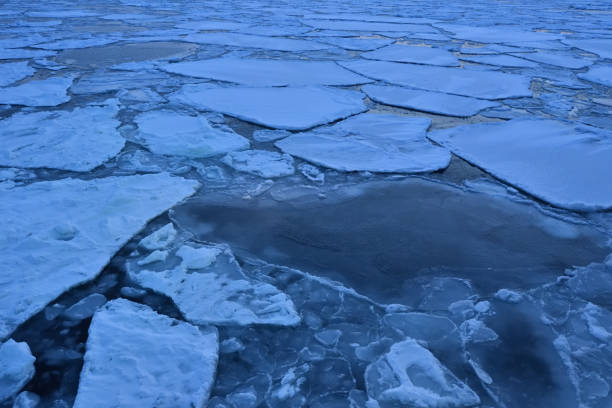 istock Sunset cruising on Floating ices 1452350577
