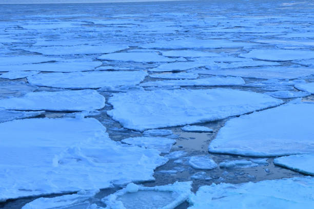 istock Sunset cruising on Floating ices 1452350598