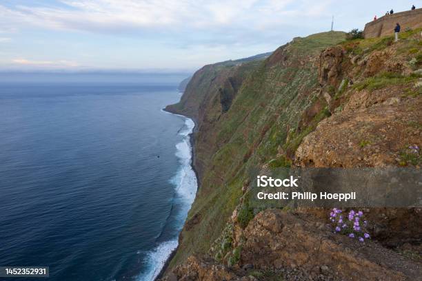 Amazing View Of The Coast In Madeira Portugal From A Viewpoint Called Miradouro Galore In The Foreground A Beautiful Pink Flower Stock Photo - Download Image Now
