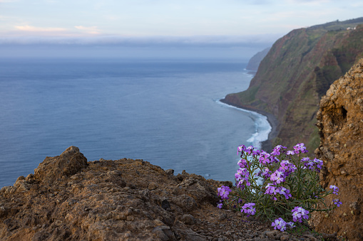 Wonderful landscape in Portugal, Madeira.