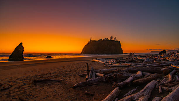 istock Amazing sunset at Ruby beach, Olympic peninsula, Washington, USA 1452355728
