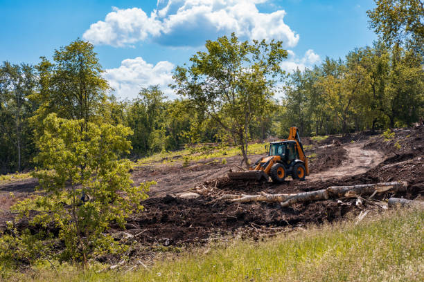 a tractor with a bucket rows branches and cleans the park. park construction, landscaping