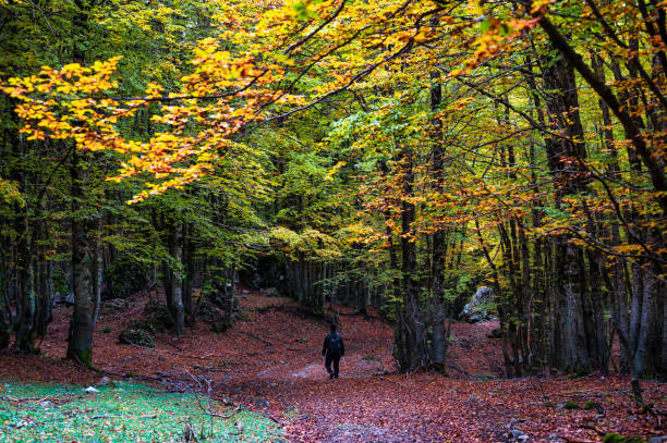 istock nature sceneries on Mount Pollino, basilicata 1452358129