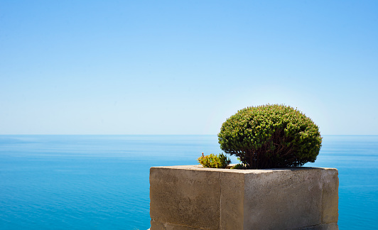 Sheared thyme bush in a cubic natural stone pot. Horizon sea and blue sky. Idyll. Yard. Copy space for text.