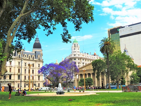 Buenos Aires, Argentina - November 18, 2019. The Plaza de Mayo (May Square), a city square with buildings and jacaranda flowering tree in spring day.People at the Facade of the Buenos Aires Metropolitan Cathedral in Buenos aires city. Impressive Buildings in the City Center of Buenos Aires View from Plaza de Mayo Square, Historical Place in Argentina.